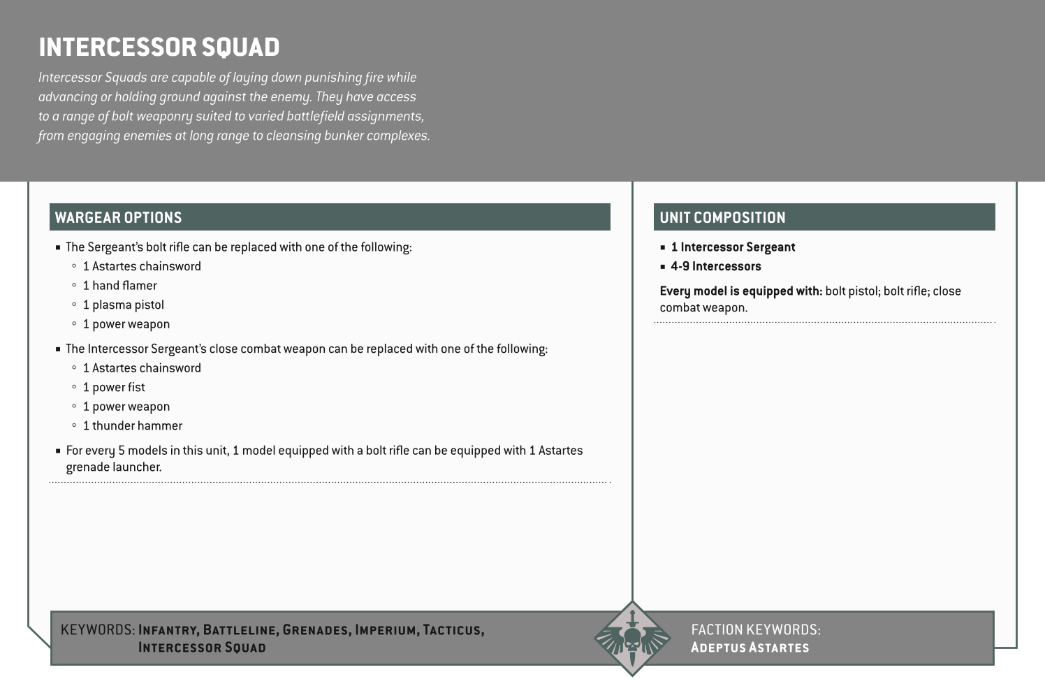 Intercessor Squad Options