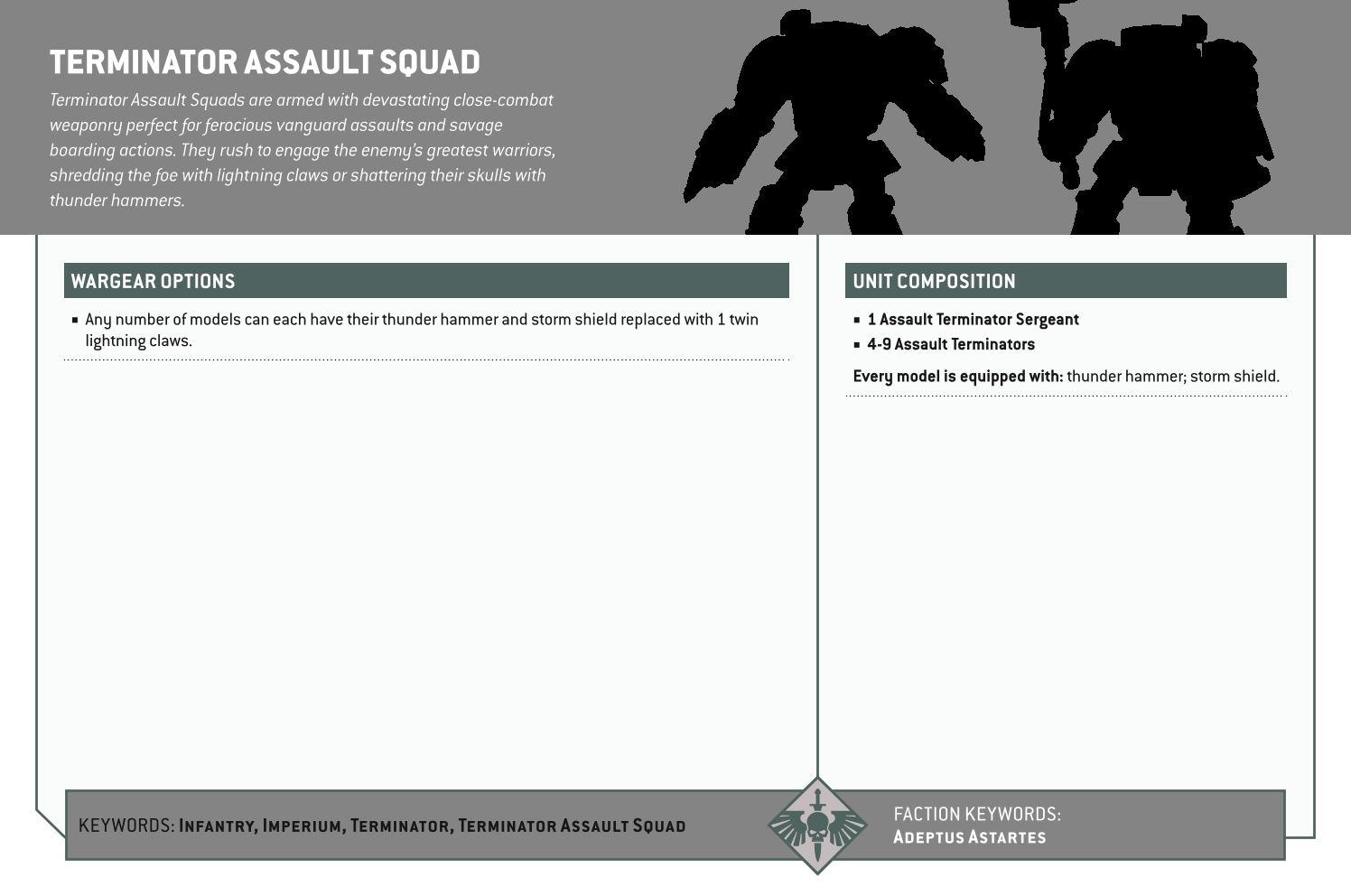 Terminator Assault Squad Options