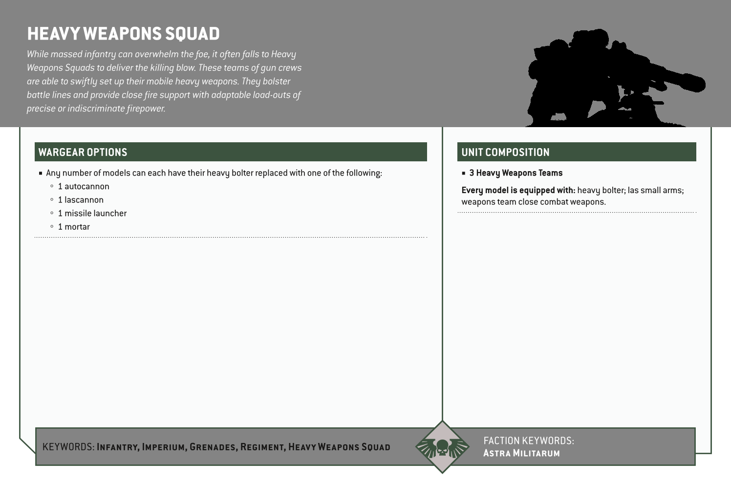 Heavy Weapons Squad Options